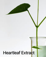 [Damage Box] ANUA Heartleaf 80% Moisture Soothing Ampoule