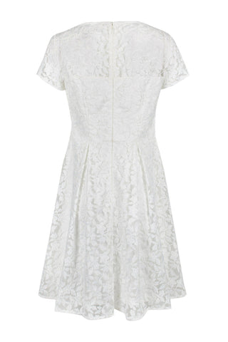 Adrianna Papell Boat Neck Short Sleeve A-Line Box Pleat Zipper Back Embroidered Dress - By Baano