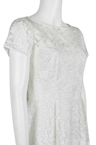 Adrianna Papell Boat Neck Short Sleeve A-Line Box Pleat Zipper Back Embroidered Dress - By Baano
