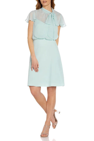 Adrianna Papell Tie Neck Illusion Sleeve Keyhole Back A-Line Crepe Chiffon Dress - By Baano