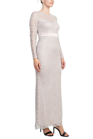 Adrianna Papell Crew Neck Long Sleeve Illusion Embellished Keyhole Zipper Back Lace Dress - By Baano