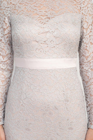 Adrianna Papell Crew Neck Long Sleeve Illusion Embellished Keyhole Zipper Back Lace Dress - By Baano