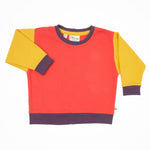 Baby Colorblock Sweatshirt Peace House Studio