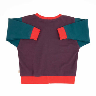 Baby Colorblock Sweatshirt Peace House Studio