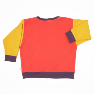 Baby Colorblock Sweatshirt Peace House Studio