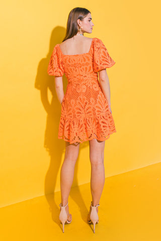 LIFETIME CELEBRATIONS LACE MINI DRESS - By Baano