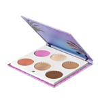 Mini Mix Face Palette - Bienvenidos A Miami