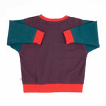Big Kid Colorblock Sweatshirt - By Baano