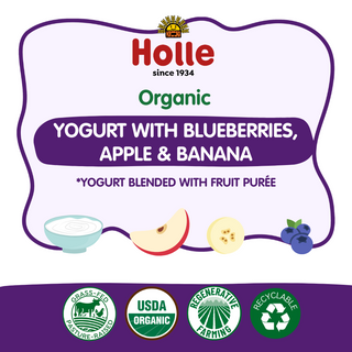Holle Organic Yogurt Pouches - Blueberries, Apple & Banana
