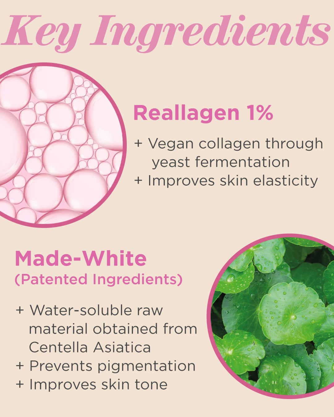 Vegan Again Radiance Contour Stick (Highlighter) - By Baano