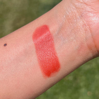 Color Cream Multi-Sticks - By Baano