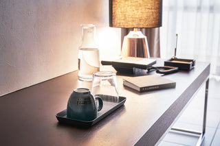 Vanity Tray - Flat - Large - Steel - By Baano