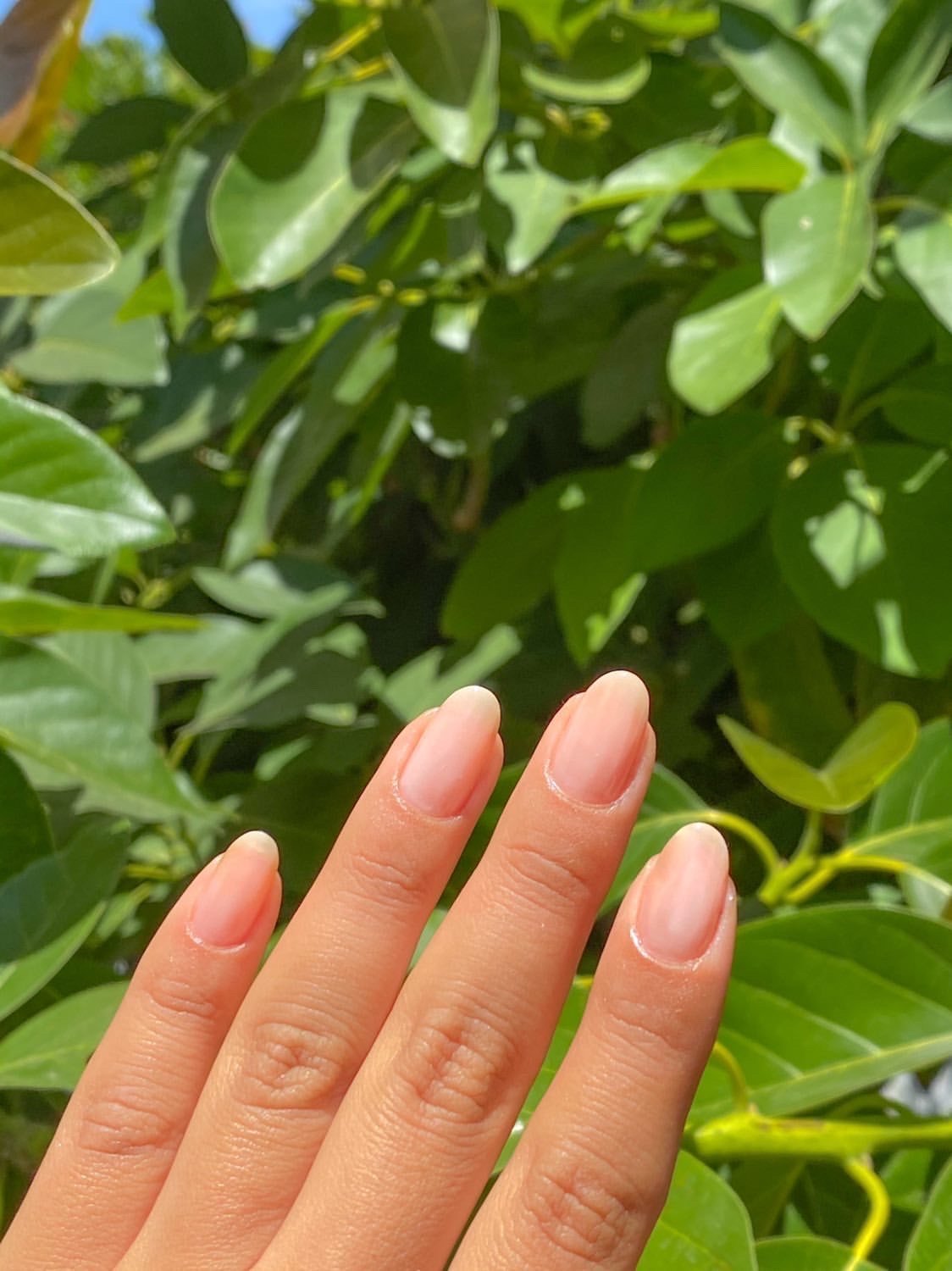 Deep Nail Nutrition 10ML (Nail Care Treatment)