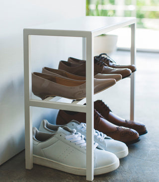 Shoe Organizer (16" H)  - Steel - By Baano