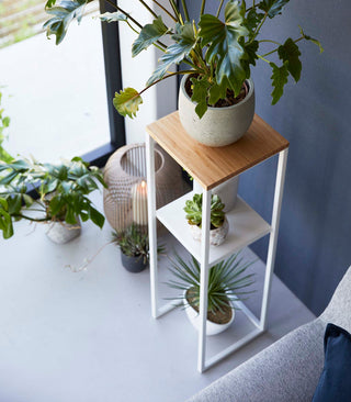 Two-Tier Display & Storage Shelf (31.5" H)  - Steel + Wood - By Baano