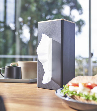 Two-Sided Tissue Case - Steel + Wood - By Baano