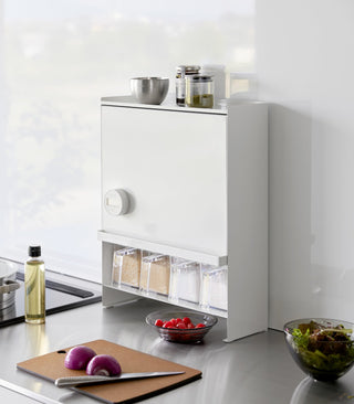 Concealable Spice Rack - Steel - By Baano