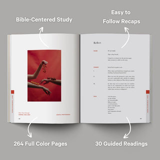 The Good and Beautiful Bible Study - Volume 2 (Spiral Bound) - By Baano