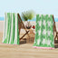 Green/White Turtles / Stripe