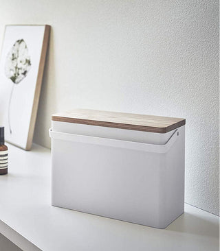 Odds-and-Ends Organizer - Steel + Wood - By Baano