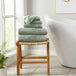 Desert Sage Green