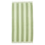 Eucalyptus Green
