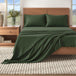 Spruce Green