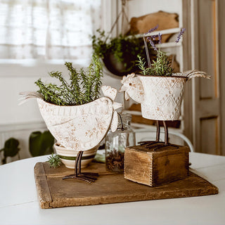 Indoor/Outdoor Distressed Hen Planter, Choose Your Style Decor Steals