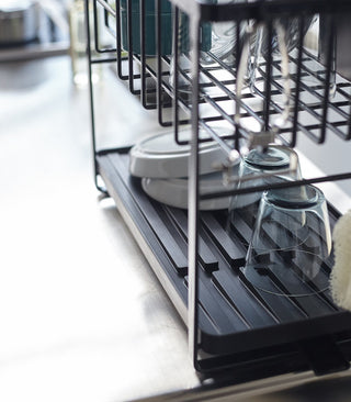 Two-Tier Wire Dish Rack - Steel - By Baano