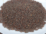 Black Mustard Seed, Whole - By Baano