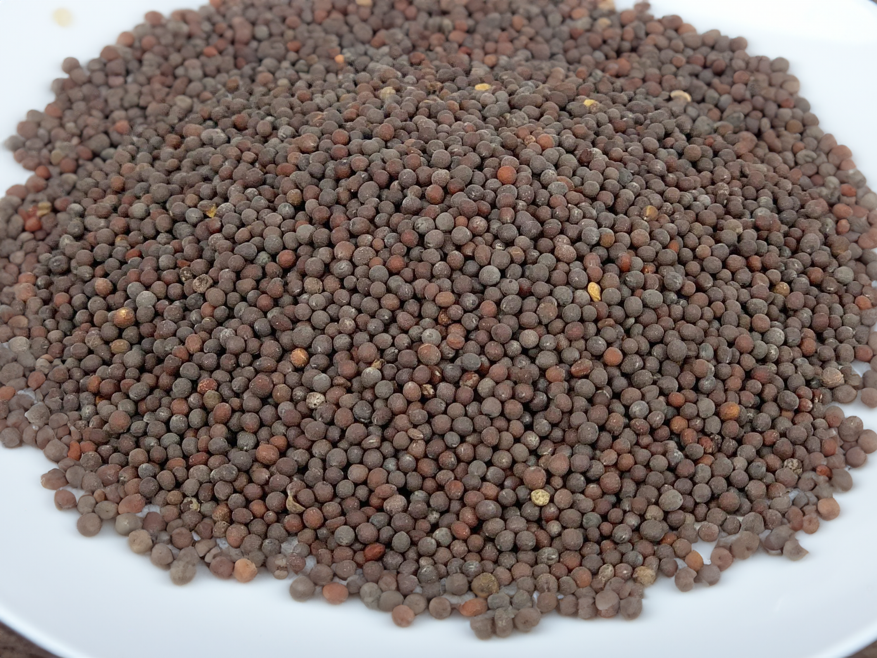 Black Mustard Seed, Whole - By Baano
