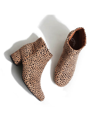 Jody | Cheetah