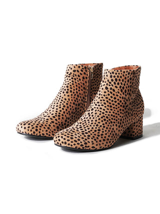 Jody | Cheetah