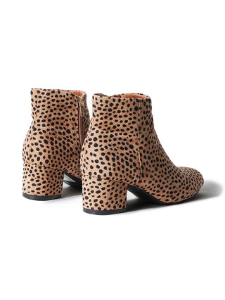 Jody | Cheetah