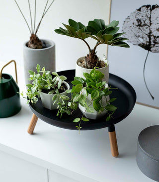 Countertop Pedestal Tray (5" H)  - Steel + Wood - By Baano