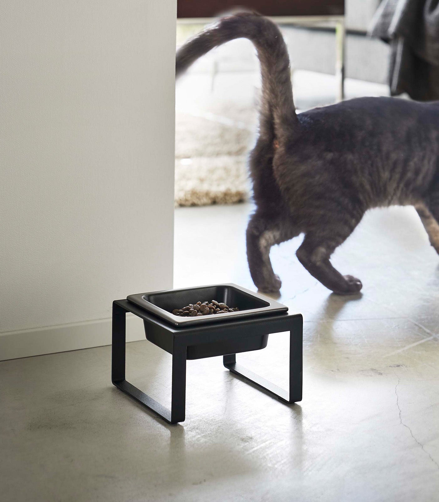 Single Pet Food Bowl - Tall - Steel + Ceramic