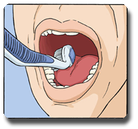 Curvy Angled Toothbrush Soft for Adults Manual Curvy Oral Care