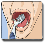 Curvy Angled Toothbrush Soft for Adults Manual Curvy Oral Care