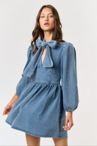 Denim Bow Dress