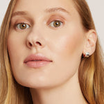 Fungdation - Reishi Mushroom Foundation