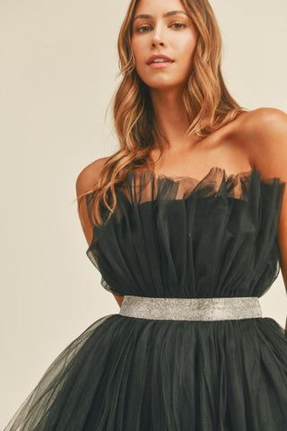 Belted Tulle Dress