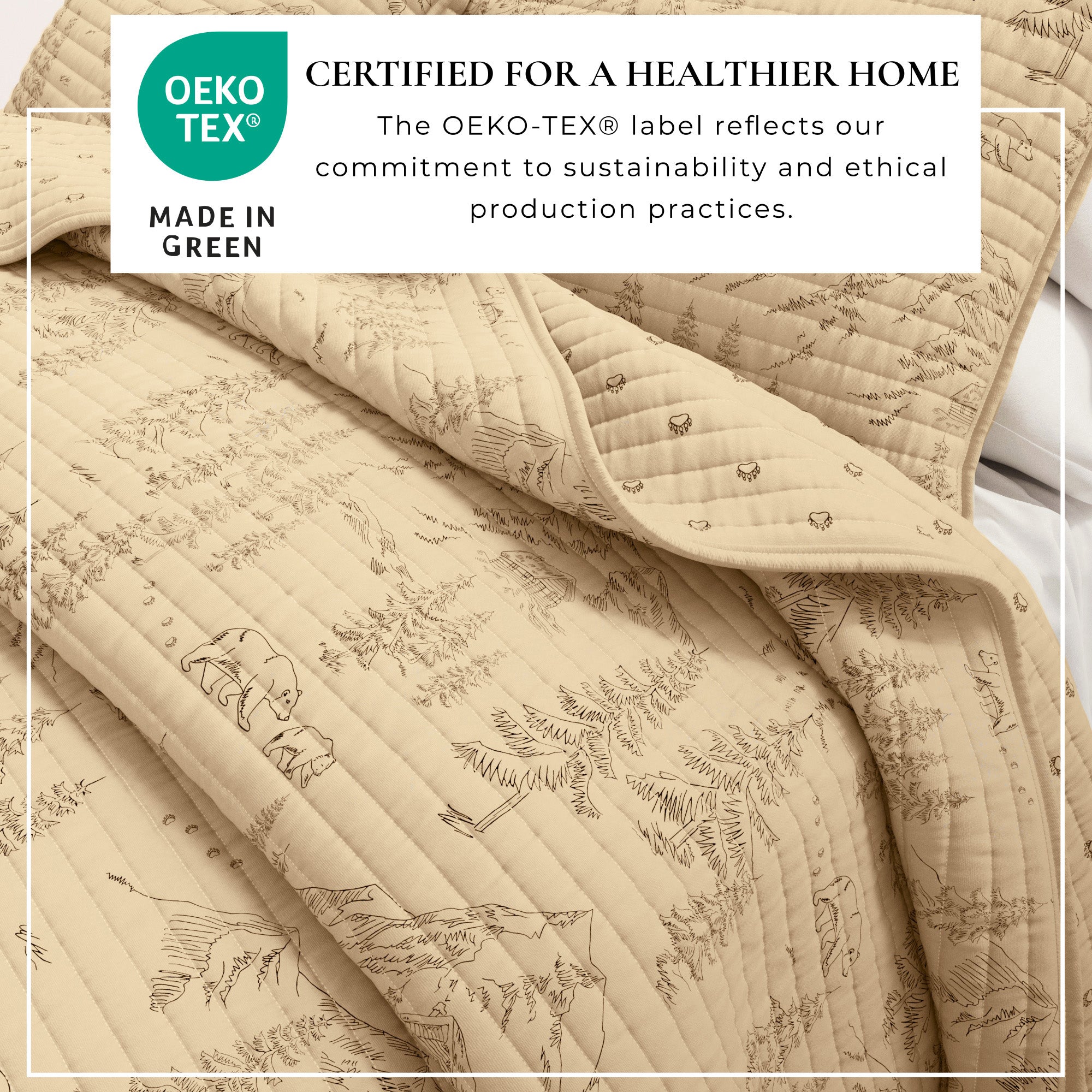 Texte alternatif par défaut