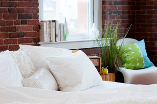 Sheet Sets White Queen (20 CT)