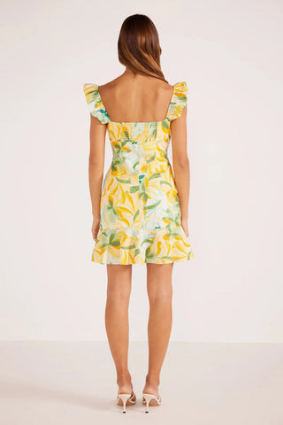 Solstice Front Tie Mini Dress