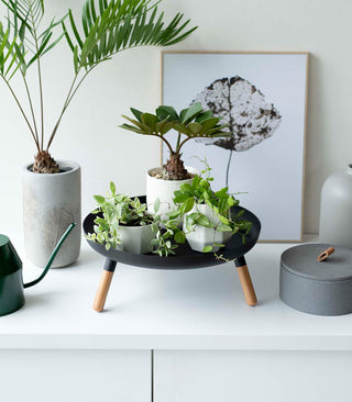 Countertop Pedestal Tray (5" H)  - Steel + Wood - By Baano