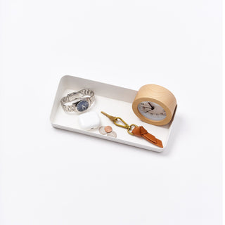 Vanity Tray - Angled - Large - Steel - By Baano