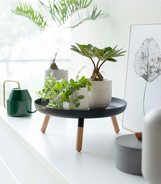 Countertop Pedestal Tray (5" H)  - Steel + Wood - By Baano
