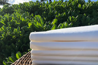 Pillowcases White (50 CT)