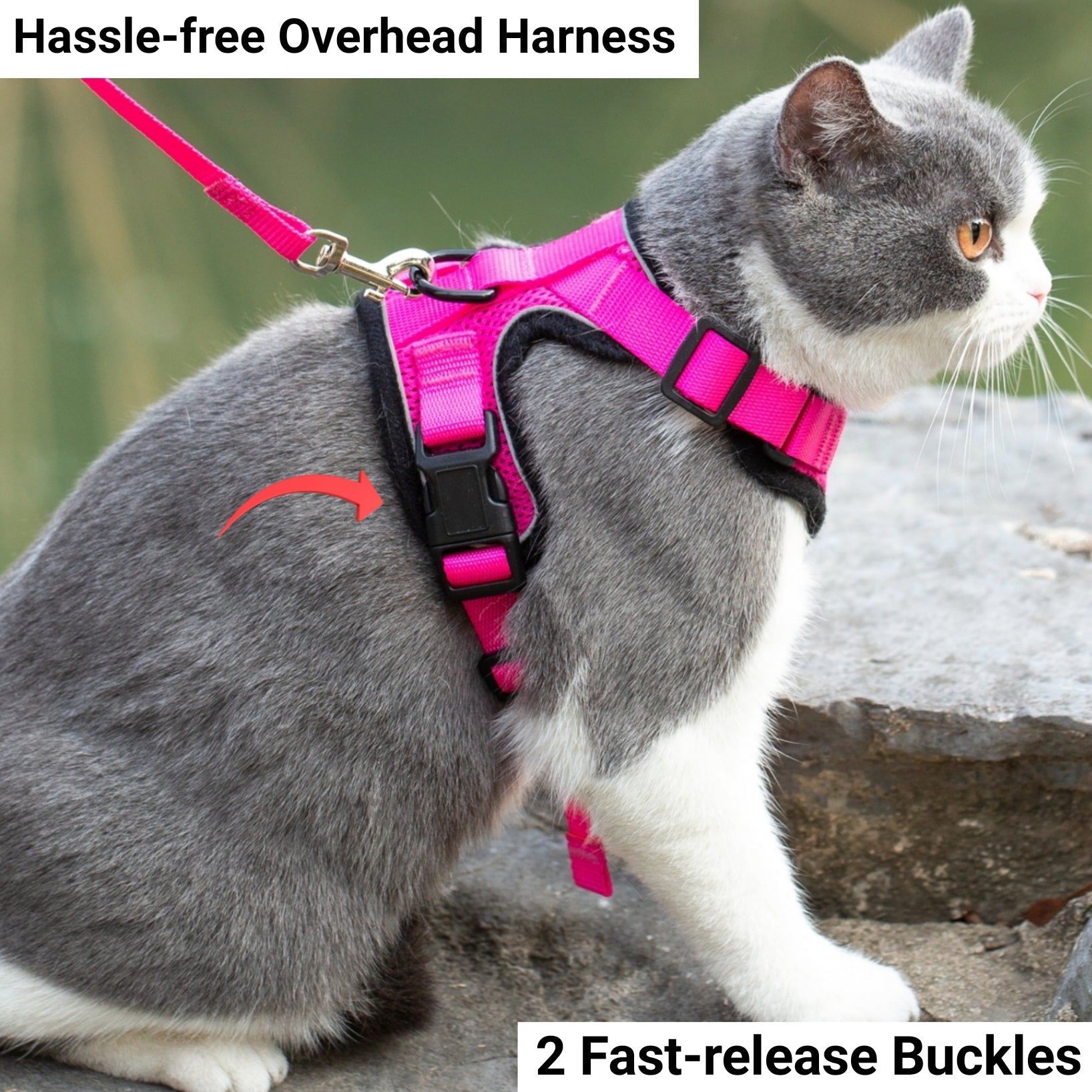 Mr. Peanut's PurrTrek Reflective Cat Harness with Matching Leash - By Baano