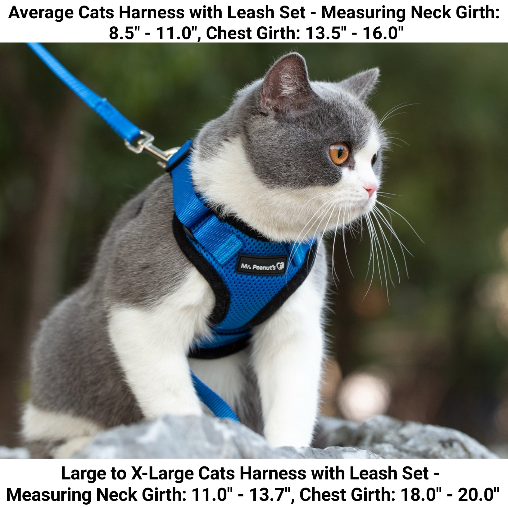 Mr. Peanut's PurrTrek Reflective Cat Harness with Matching Leash - By Baano